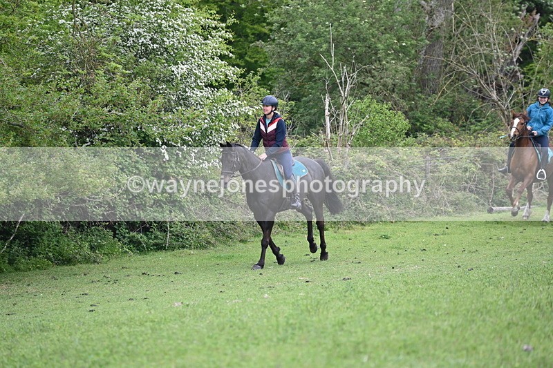 WJ6_2932 - A Camera