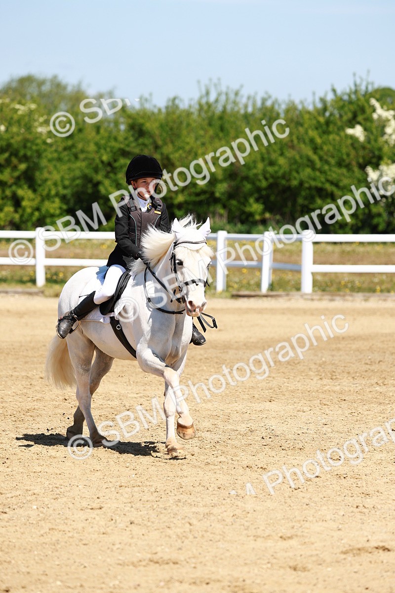 SBM_007156 - Class 3 - 60cm