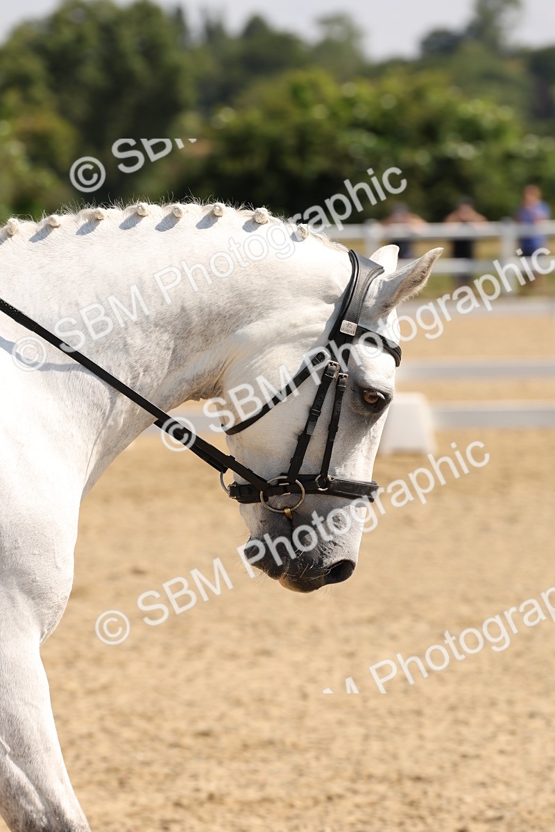 SBM_003451 - Prelim 4 - Warm Up