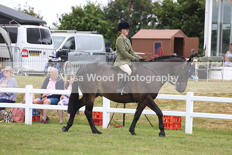 3E7A1342 - Class 9: Open Hunter