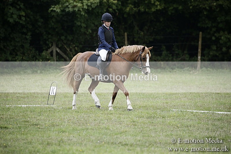 BVR090918 244 - BVRC Dressage and Show Jumping 09/09/18