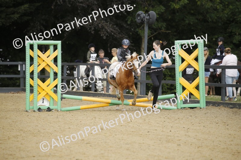 20250622-1314 - 40cm