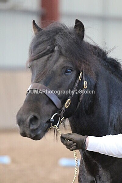 SIAL9427 - Indoor Classes