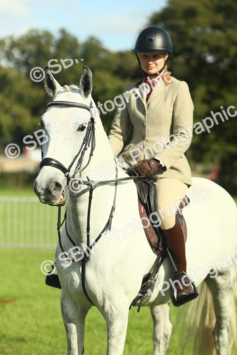 SBM_49837 - S32 - Novice & Newcomers Working Hunter