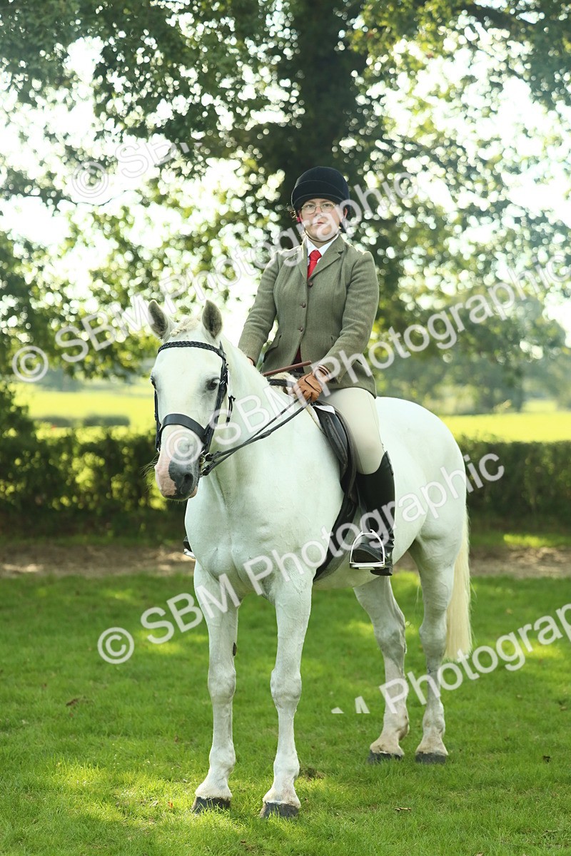SBM_52183 - S33 - Working Hunter & Working Show Horse