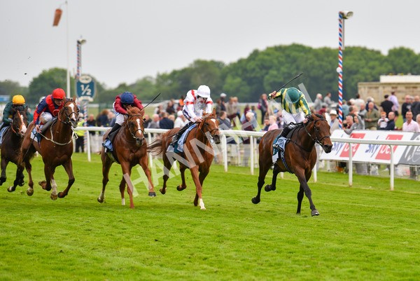 180523-Race 7-Chesspiece-9920 - Race 7 5.20pm Collective Green Energy Handicap