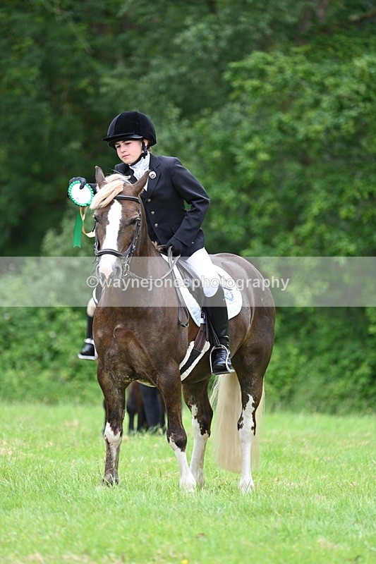 WJ7_4245 - Class 14A Handsome Gelding