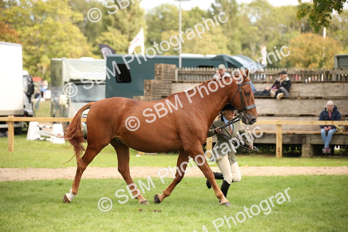 SBM_46387 - S25 - Mature Veteran In Hand