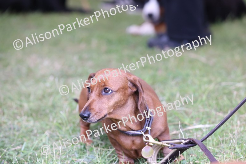 20250607-0464 - Best in Show