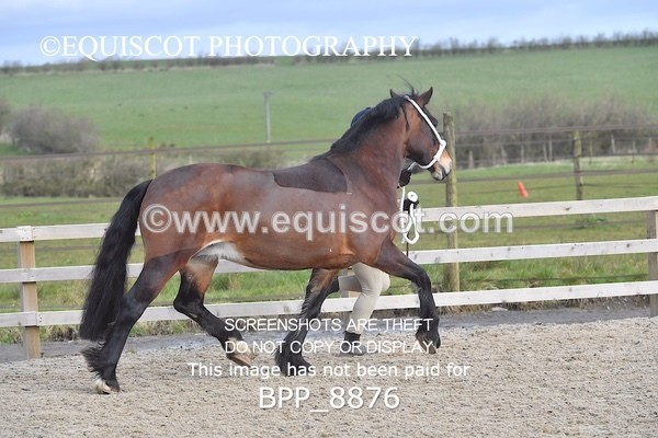 BPP_8876 - RING 2 - M&M