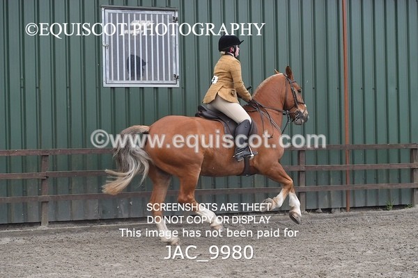 JAC_9980 - CLASS 3 Intermediate Working Hunter (0.70m - 0.85m)