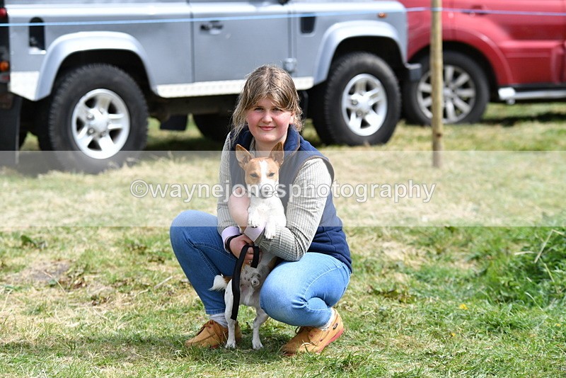 WJ5_0604 - Class 7 Best Terrier