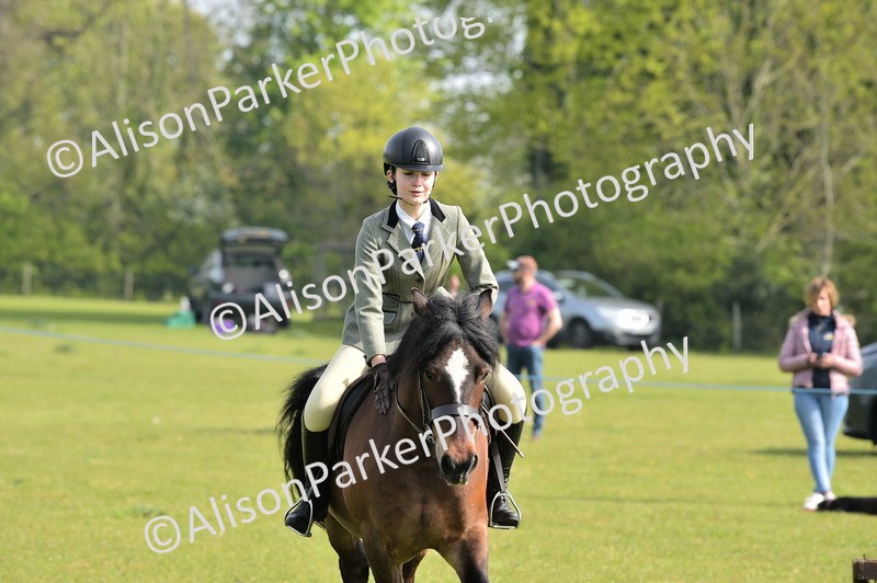 20260426-0917 - Class 18 - Novice Showing