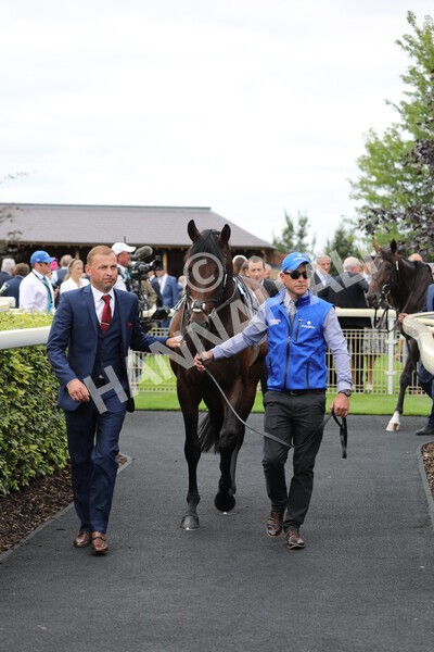 yr17082022r4-3 - Race 4 3.35pm Juddmonte International Stakes (British Champions Series Race)