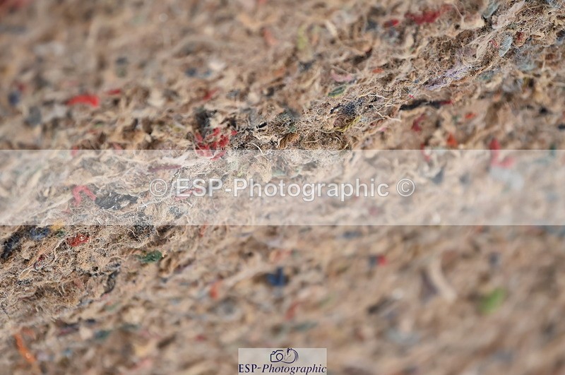 231029A-103612-02346 - 70cm Pony Intro