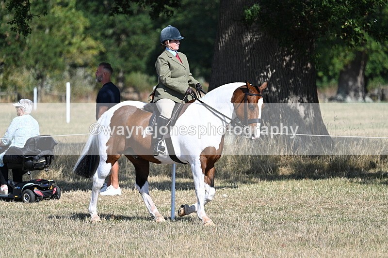 WJ7_3120 - Class 8 Ridden Tack & Turnout
