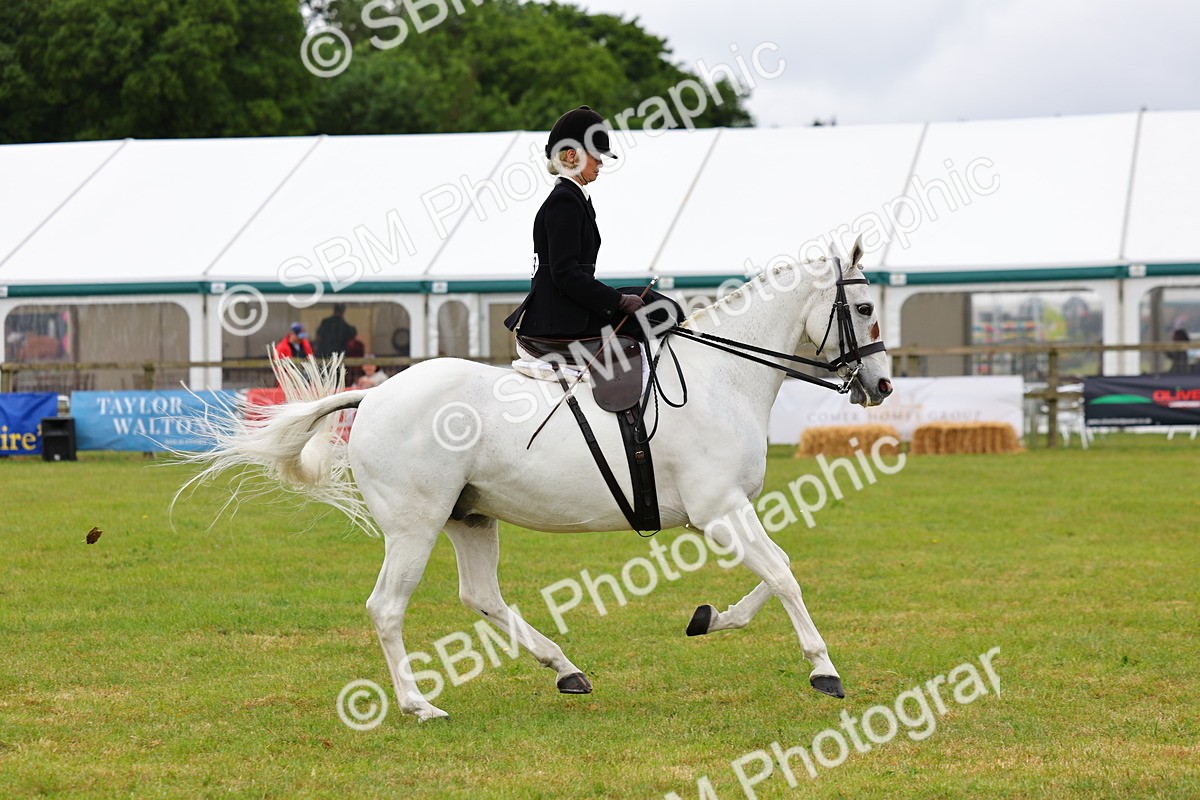 SBM_02966 - Class 9-11 Side Saddle including LIHS Rising Star Ladies Show Horse