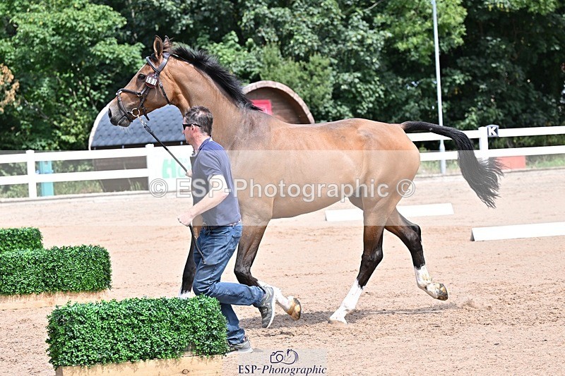 250716-124826-00176 - Trot Up 12.30 to 1.30