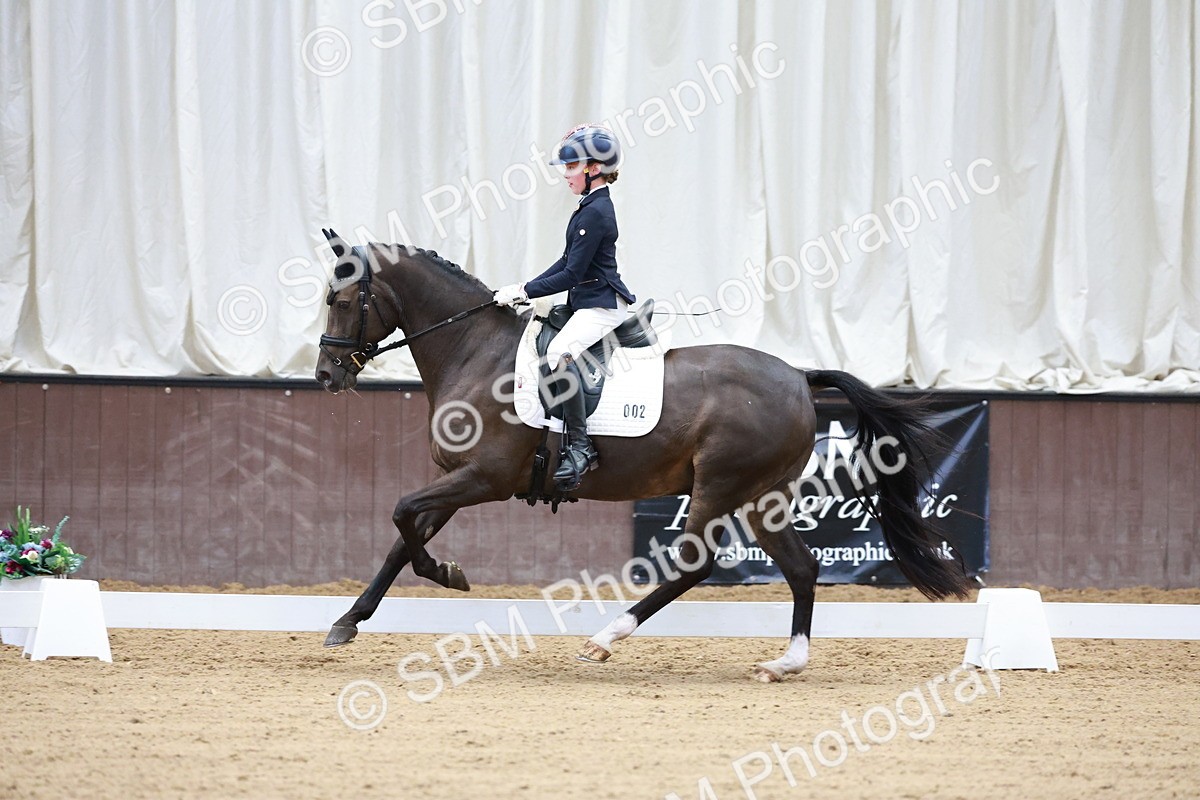 SBM_017117 - Class15 - FEI Pony