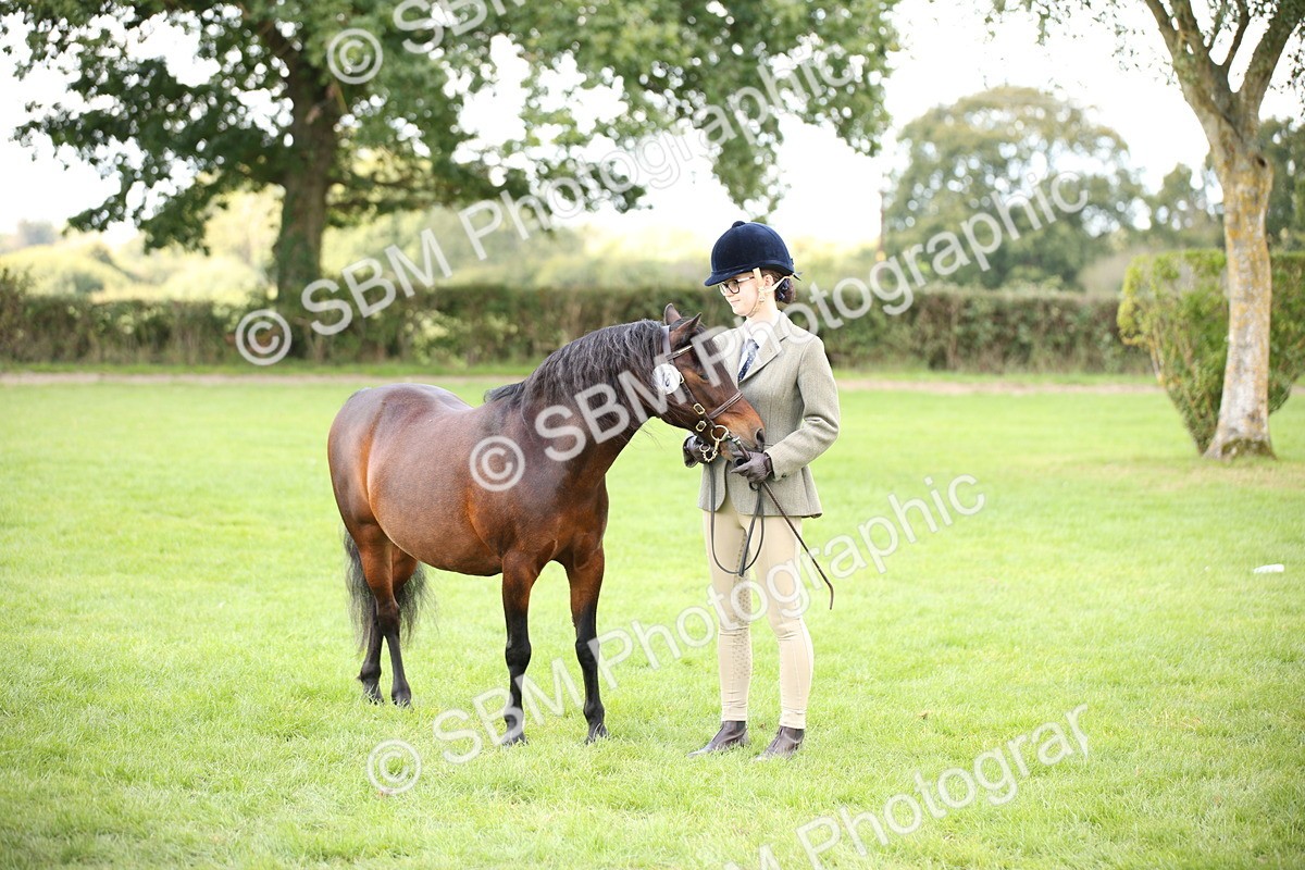 SBM_44421 - S24 - Young Veteran in hand