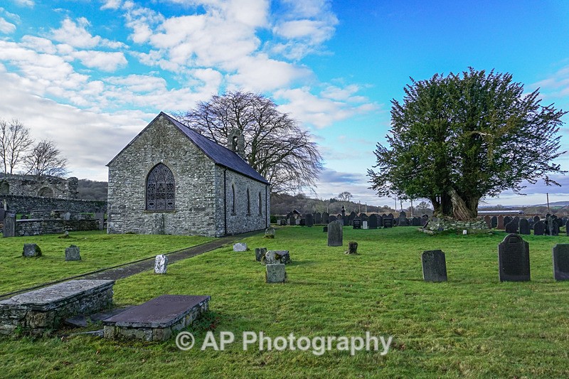 ACP02058-1 - Strata Florida Abbey