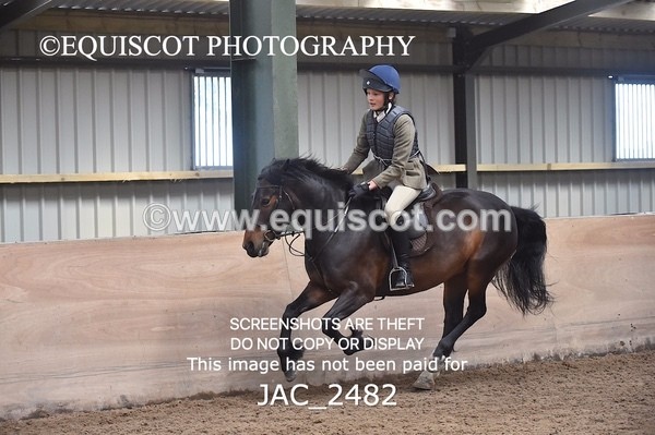 JAC_2482 - CLASS 3 Intermediate Working Hunter