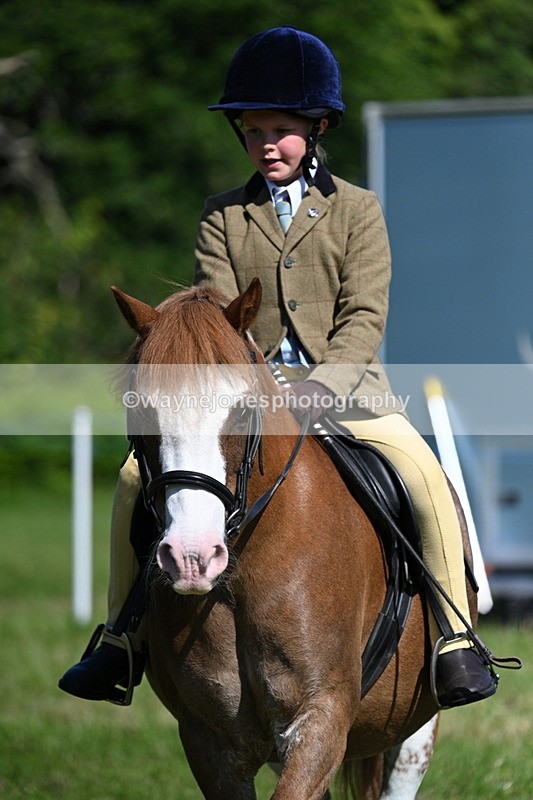 WJ7_0704 - Class 8 First Rally Pony
