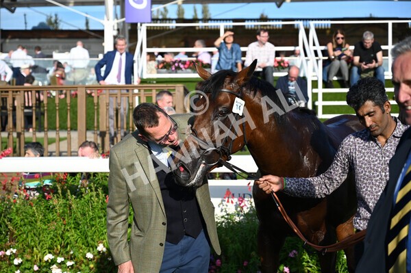 yr08102021r4-48 - Race 4 3.50pm Casumo Dare To be Different Handicap