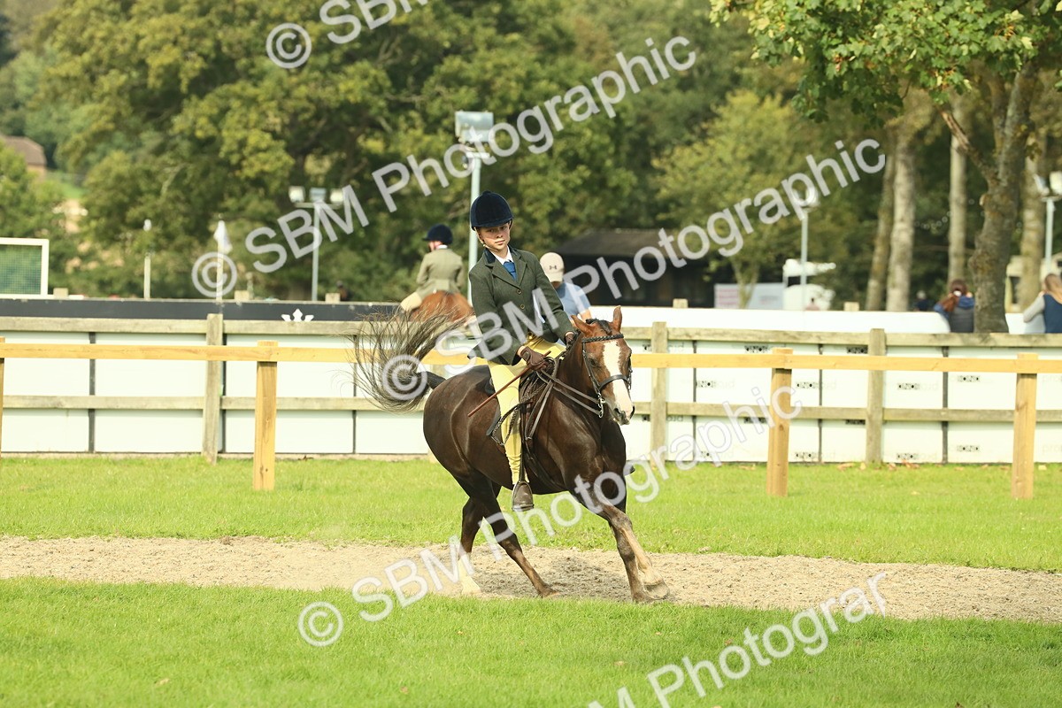 SBM_68071 - S57 - Part Bred Pony Ridden