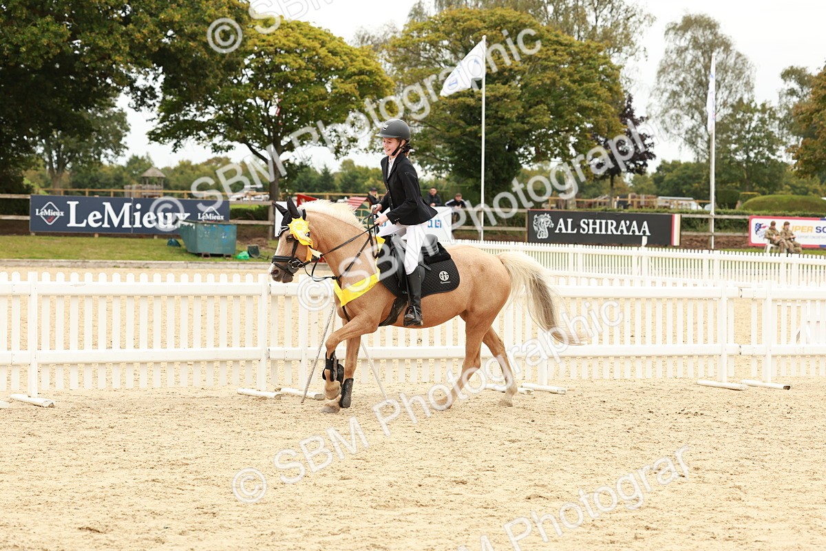 SBM_63924 - J12 - Junior Pony 55cm Championship