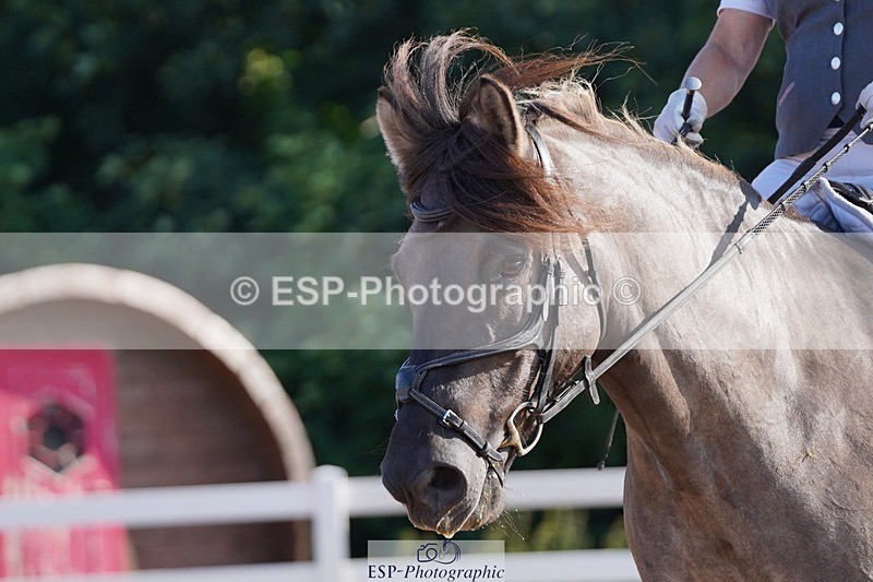 250622-081454-12946 - Cls 46 FreeStyle Prelim Inc Presentations