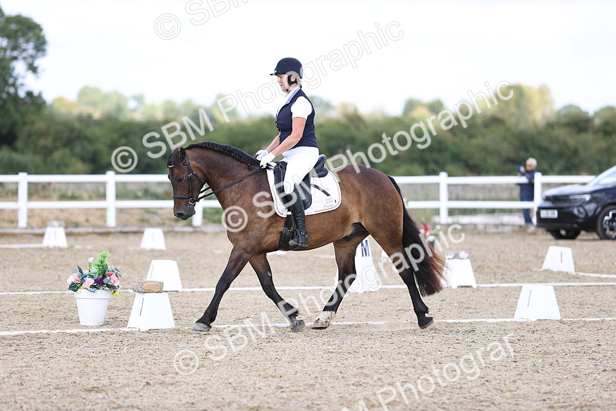 SBM_015339 - Class 5 - E5 Bronze 14.42.15.54