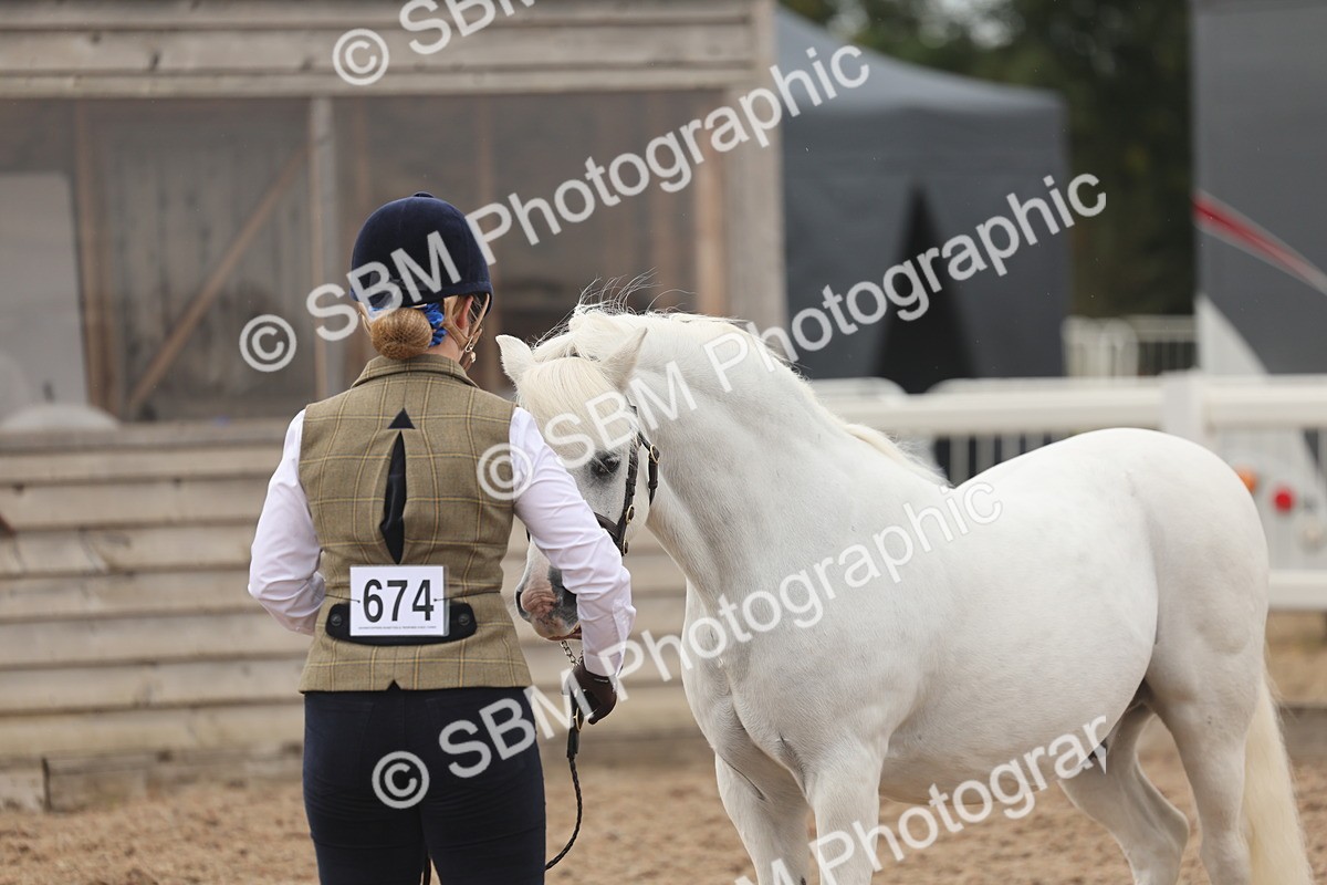 SBM_00601 - Class 13 Young Handler