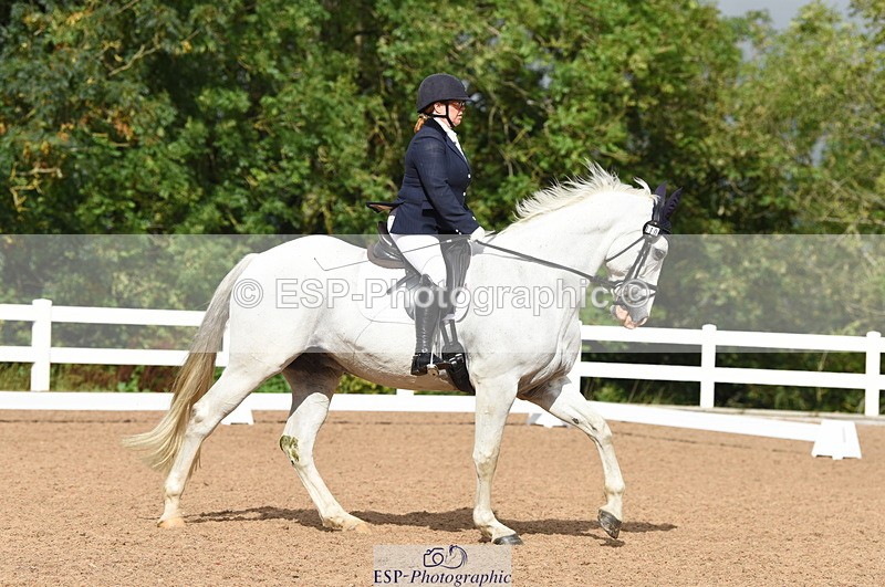 230912A-110256-00482 - Cls 7 Elementary 40