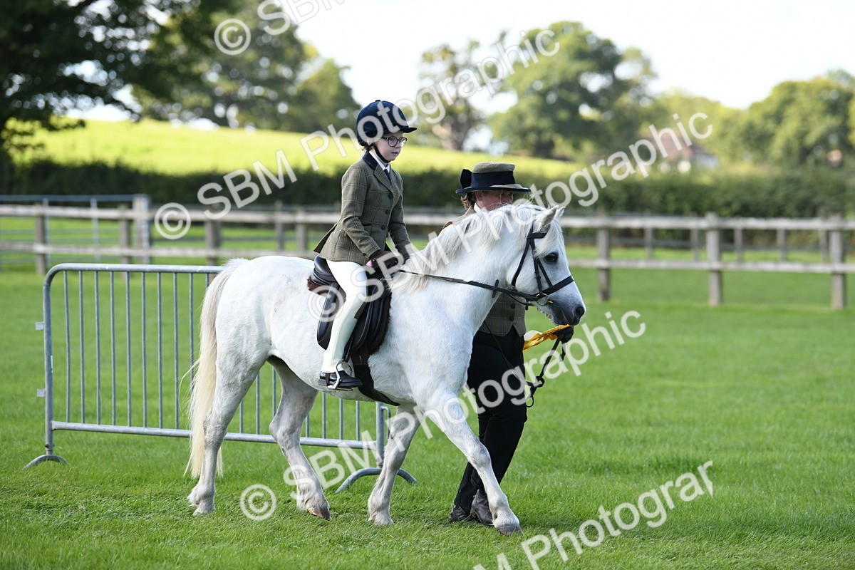 SBM_39716 - S18 - Novice & Newcomers Lead Rein Pony