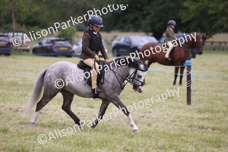20260614-3149 - Class 22 - Open Working Hunter