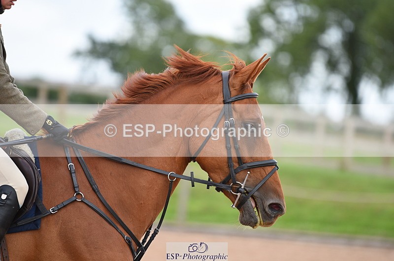 230711A-175338-00364 - 80cm