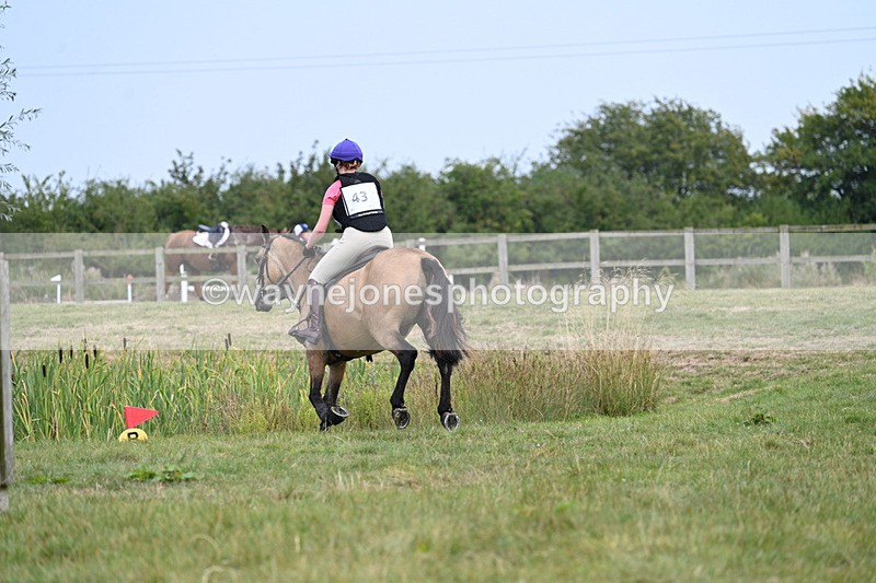 WJ7_8222 - 80cm XC Time 15:26 to 15:43