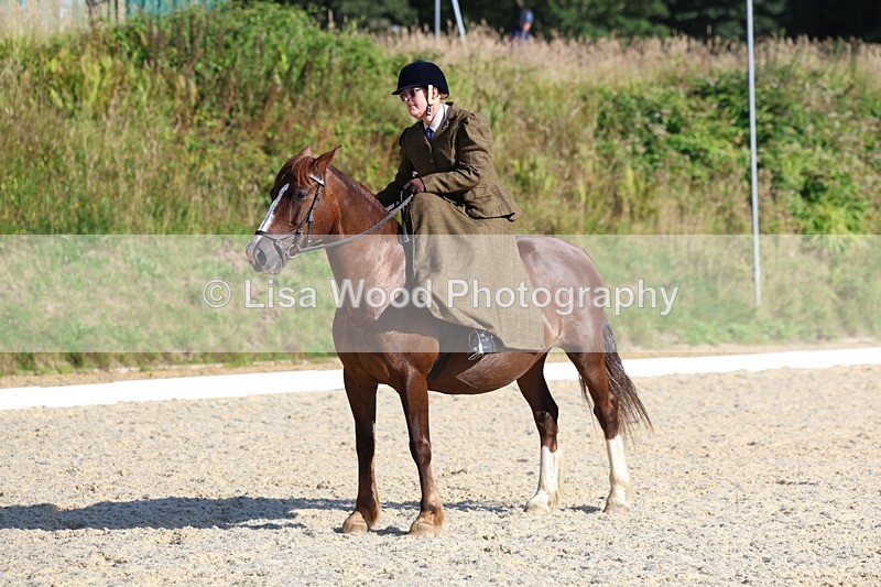 3E7A3478 - Class 2: Intro 1 2024 Section B