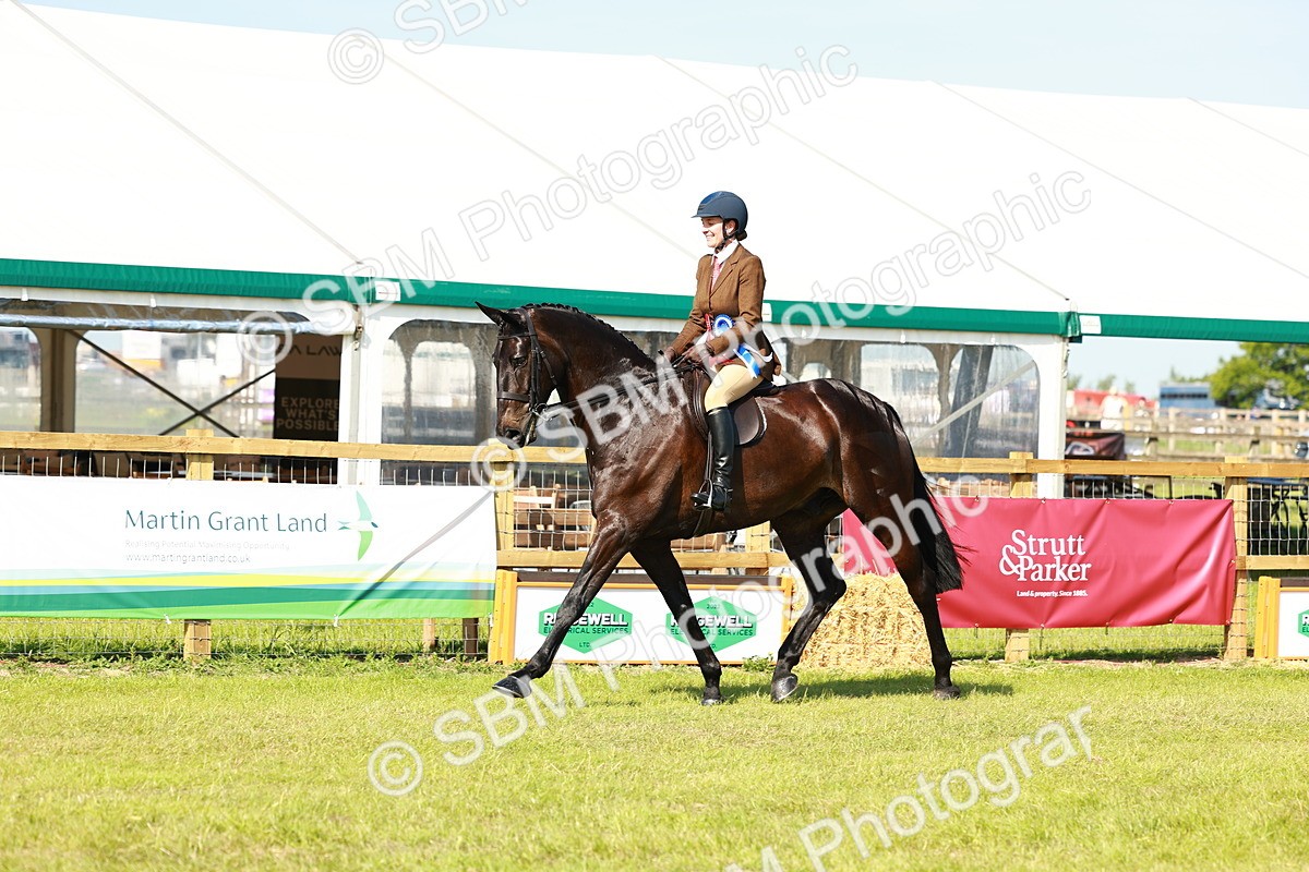 SBM_11997 - Class 66-69 - RIHS Ridden Hunters Inc Small Hunter