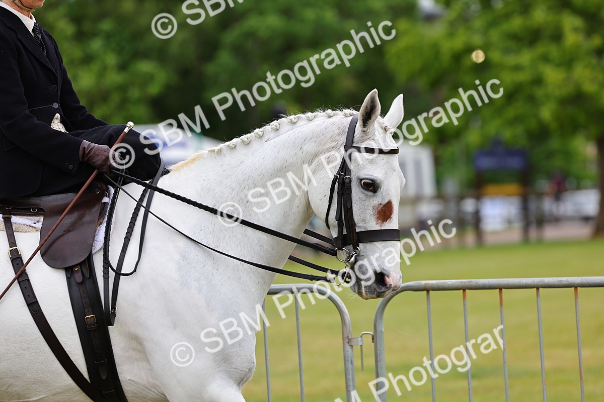 SBM_02861 - Class 9-11 Side Saddle including LIHS Rising Star Ladies Show Horse