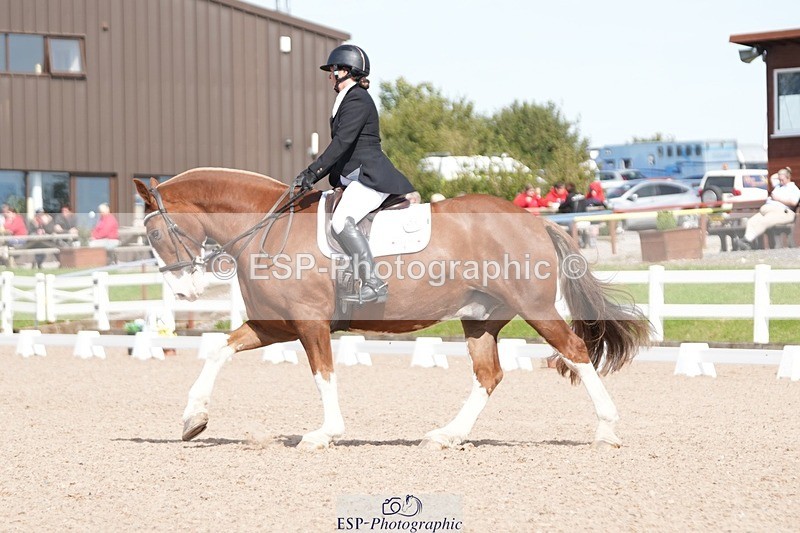 250906-142149-03925 - 069-Kirsty.ClackworthyStitch