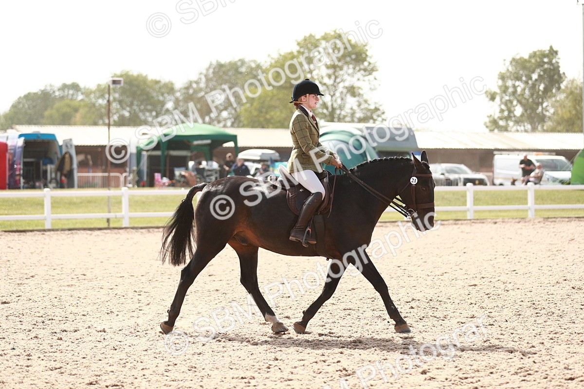 SBM_14842 - Class 212 Ridden Hunter - Small