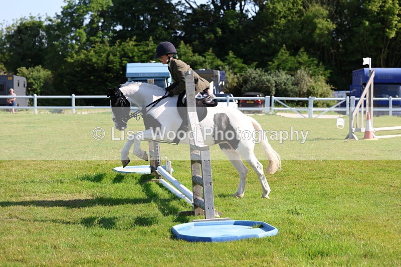 3E7A5889 - Class 27: Novice Working Hunter Pony
