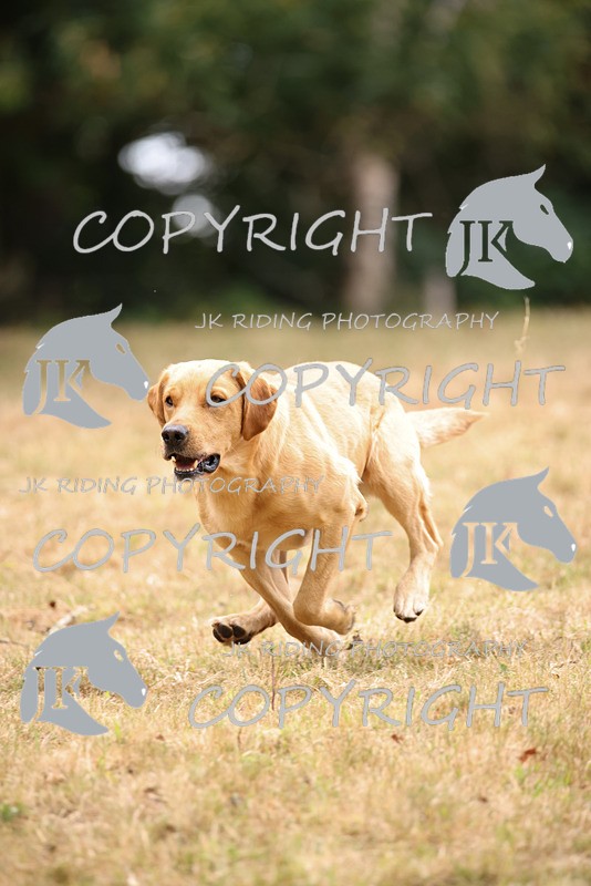 2R6A3537 - ​TEAM A: BORDER COUNTIES & COTSWOLDS 1-2-3