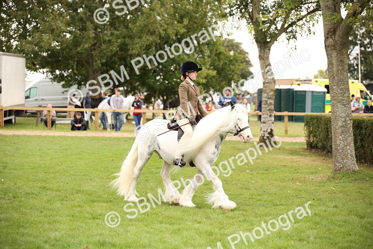 SBM_73483 - S68 - Traditional Cob Ridden