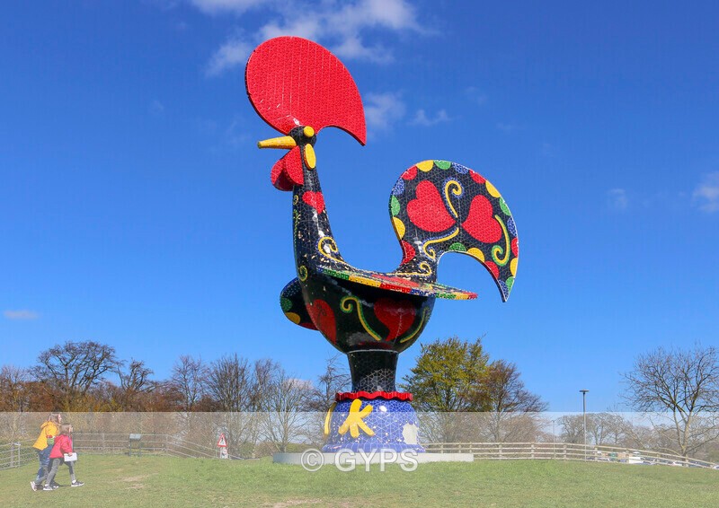 Red Rooster by Robin Ives - New Members Work