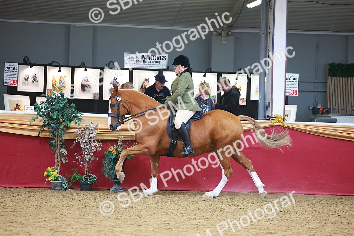 SBM_06117 - Class 12R - Ridden Pre-Vet