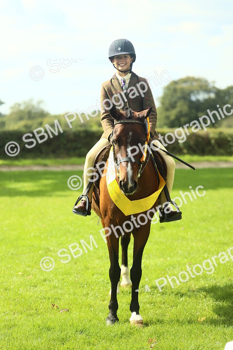 SBM_44991 - Working Hunter Pony Supreme Championship