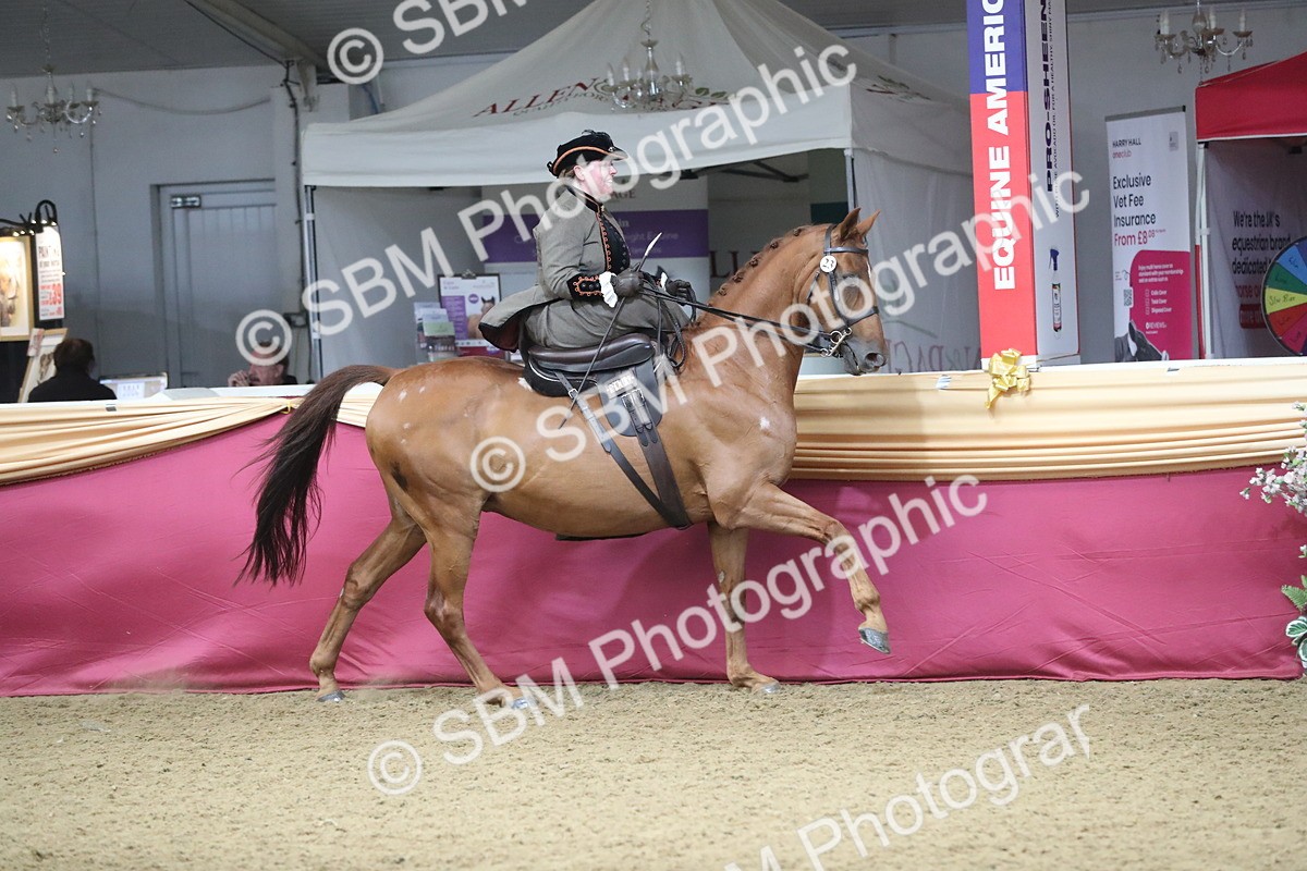 SBM_11548 - Class 105 Ridden Costume- Side Saddle